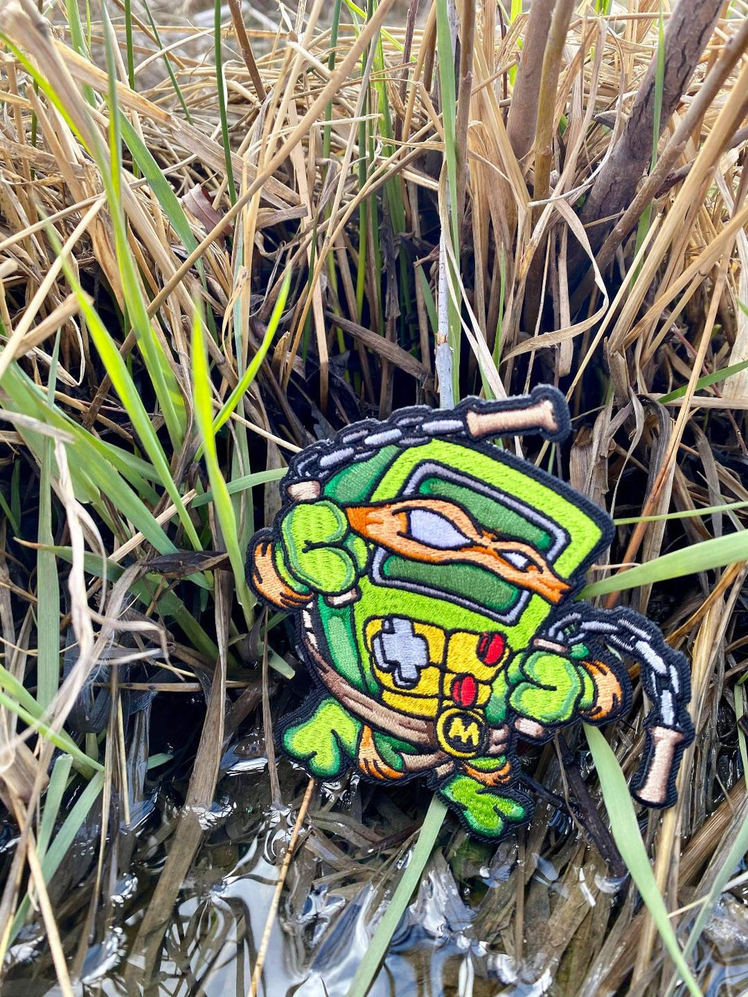 Turtle Mashup V1
